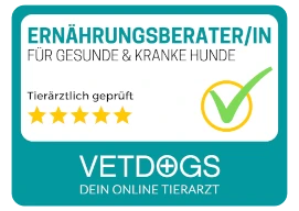 Eine Gruppe von Hunden