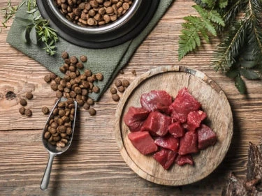 Hochwertiges Futter für Hunde